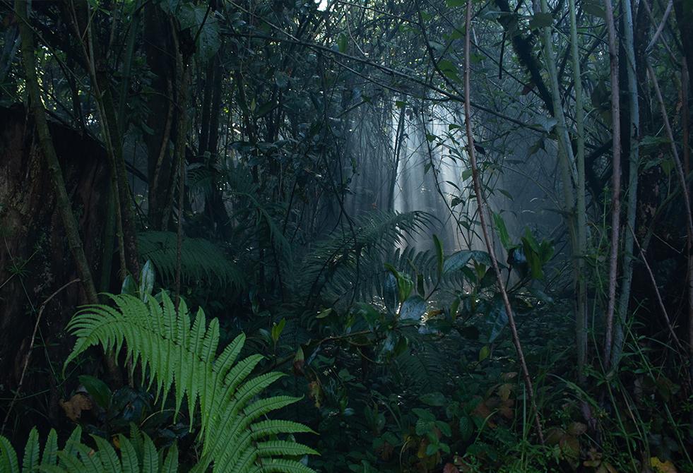 Valery Rivera / @valeryri_photograohy